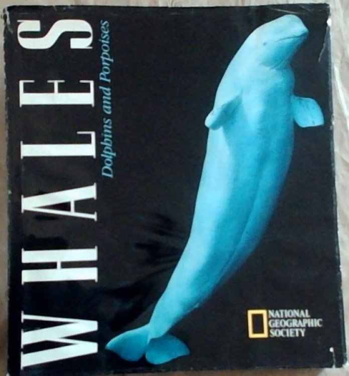 Whales: Dolphins and Porpoises