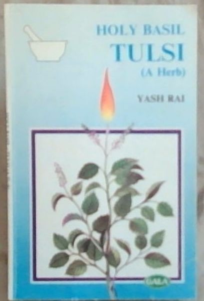 Holy Basil Tulsi (A Herb)
