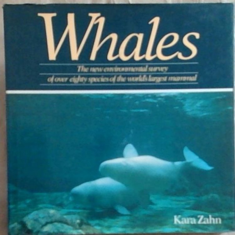 Whales