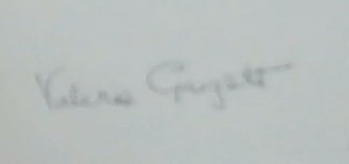 The Black Eagle: A Study by Valerie Gargett