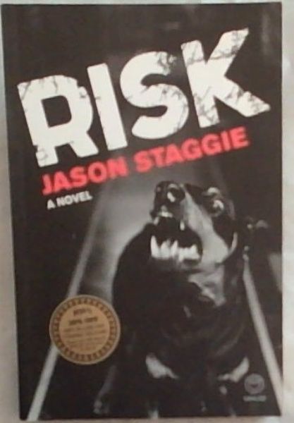 Risk: A Novel