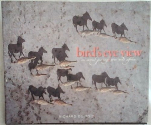 Bird's Eye View: An Aerial Journey Over Wild Africa