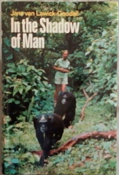 In the Shadow of Man