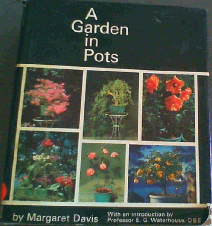 A garden in pots