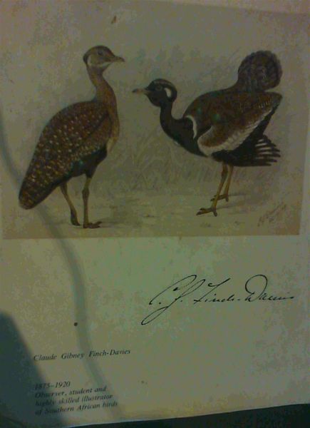 The biography of Claude Gibney Finch-Davies, 1875-1920: Observer, student and highly skilled illustrator of Southern African birds
