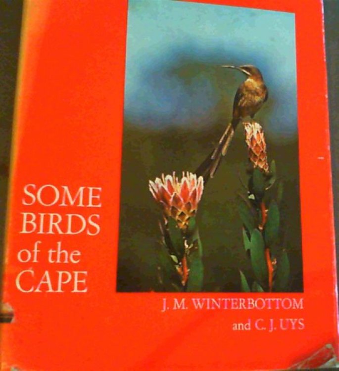 Some Birds of the Cape