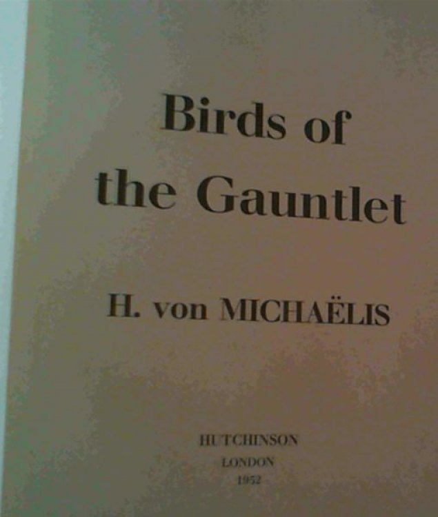 Birds of the Gauntlet