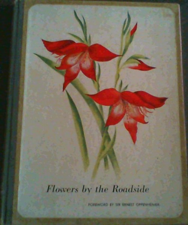 Flowers by the Roadside