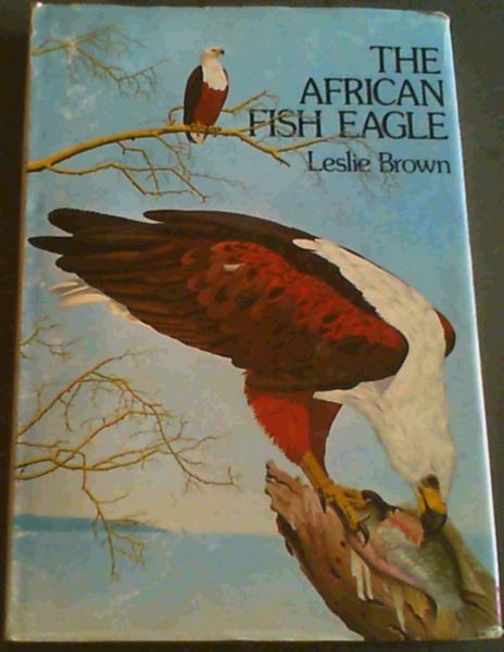 The African fish eagle