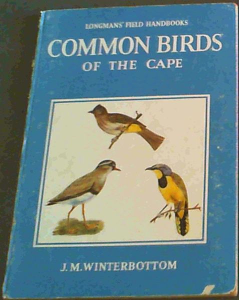 Common Birds Of the Cape
