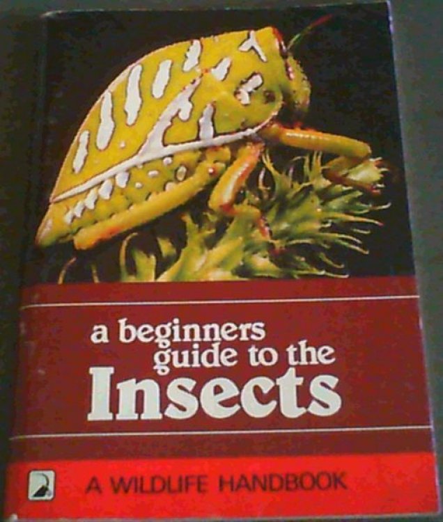 A Beginners Guide To The Insects