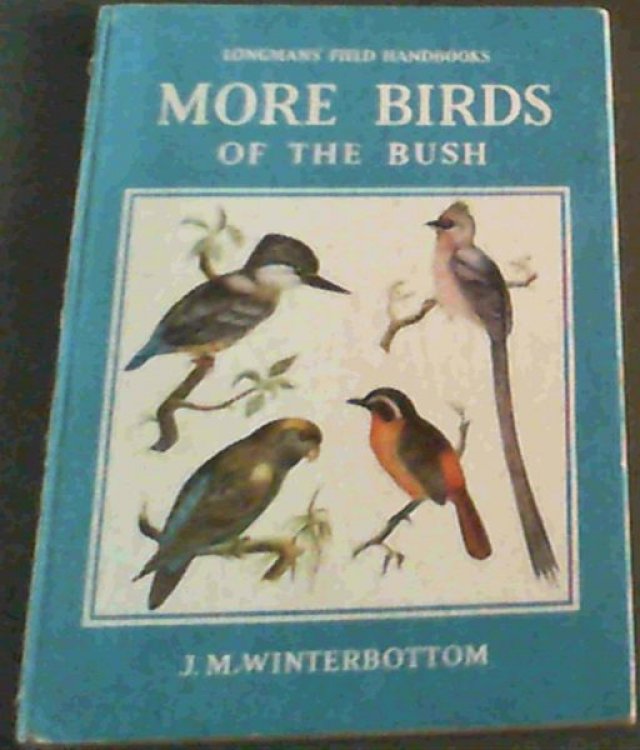 More Birds of the Bush