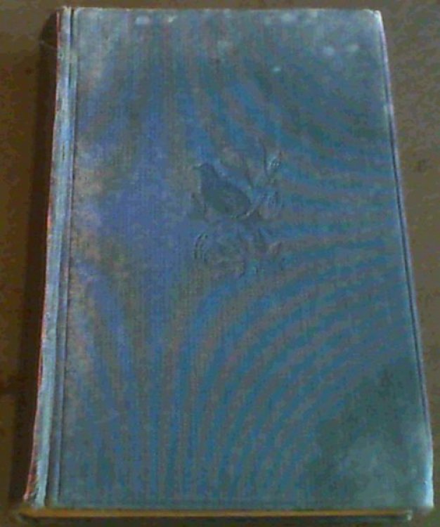 Idle Days in Patagonia