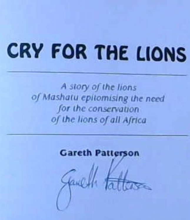 Cry for the Lions