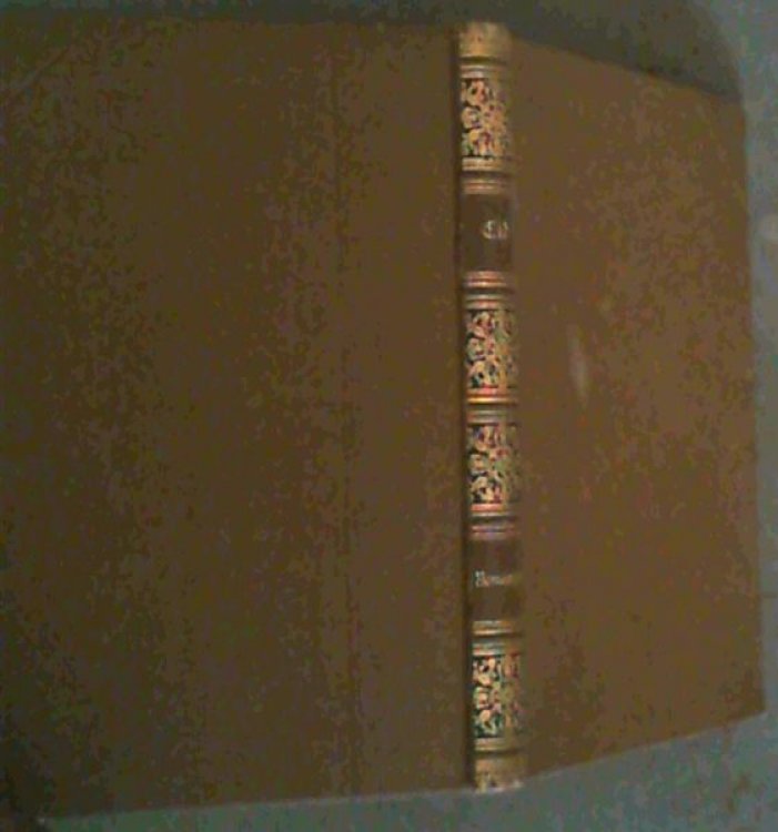 Image for Die Romanzen vom Cid Die Romanzen vom Cid