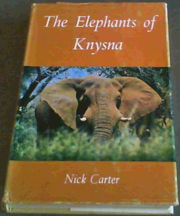 The Elephants of Knysna