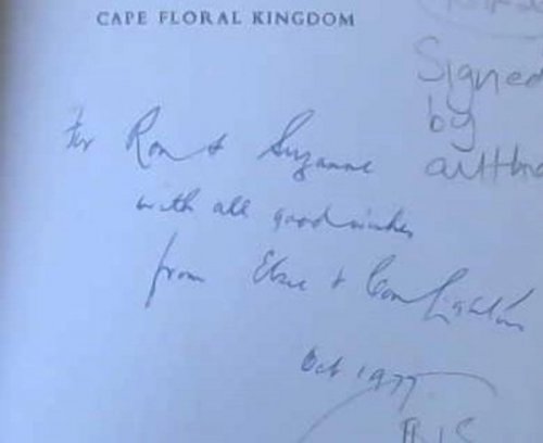 Cape Floral Kingdom