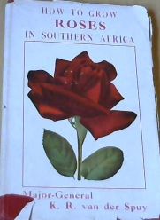 How to Grow Roses in Southern Africa