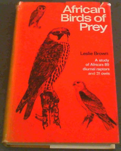 African birds of prey