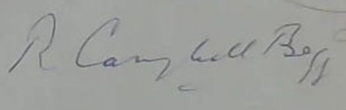 Amazon to Cape Horn on a Shoe String