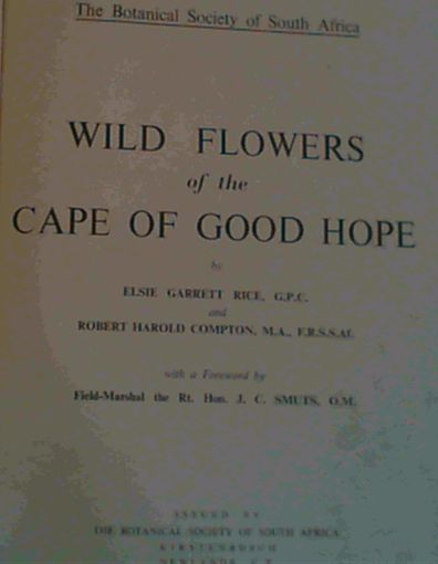 Wild FLowers of the Cape of Good Hope
