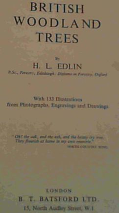 British Woodland Trees