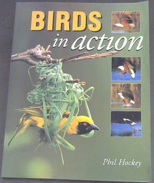 Birds in Action
