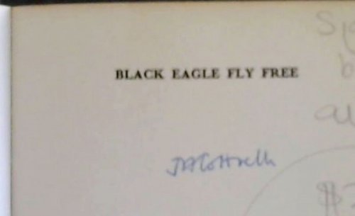 Black eagle fly free