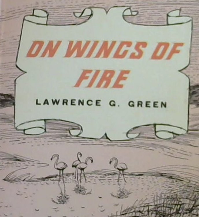On Wings of Fire: A narrative of odd and unusual characters and queer, remote places along the flamingo coast from Swakopmund to the Cape