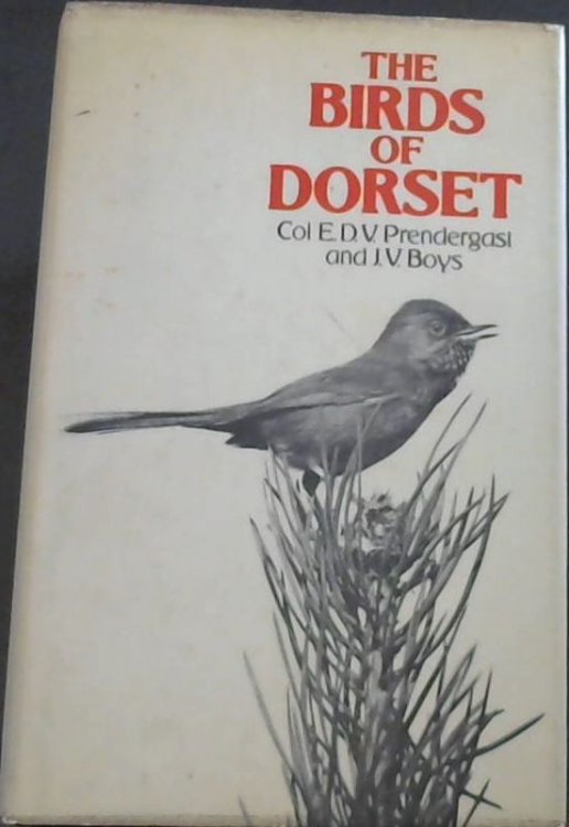 The birds of Dorset