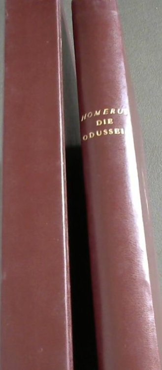 Die Odusseia