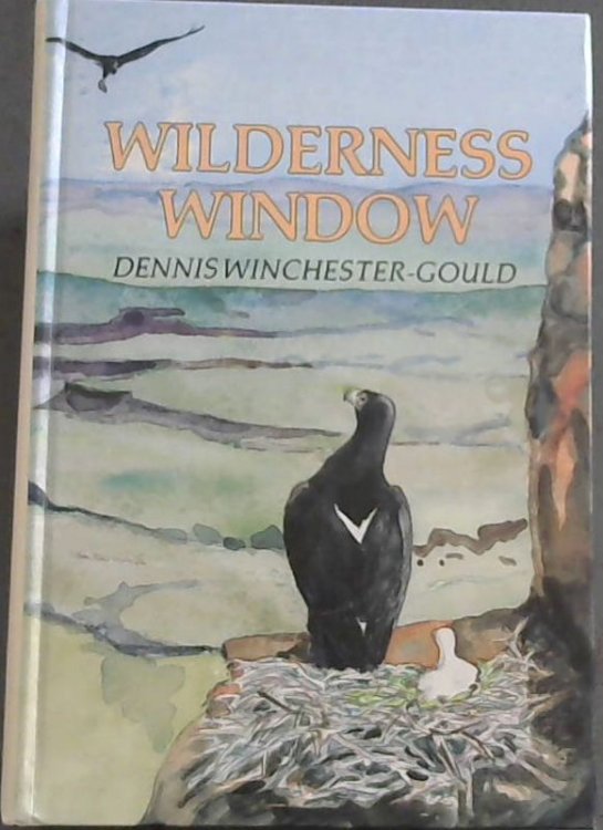 Wilderness Window