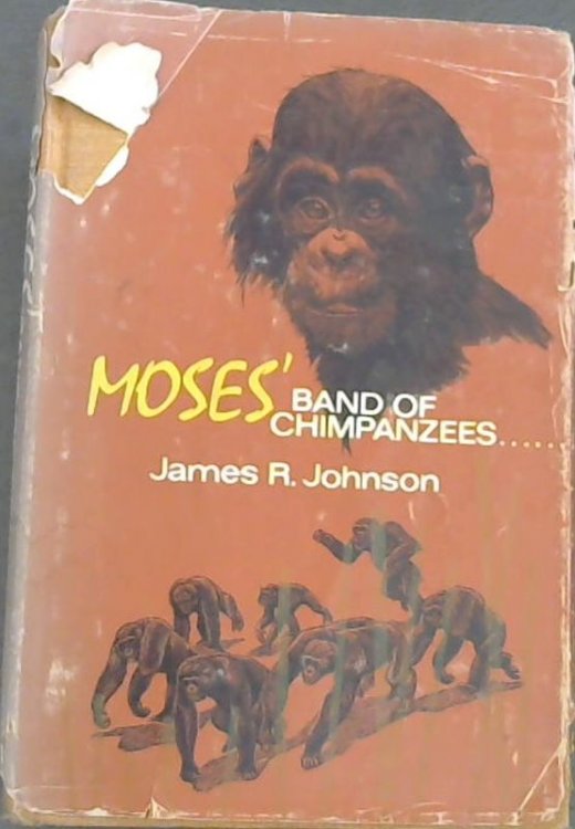 Moses' Band Of Chimpanzees.
