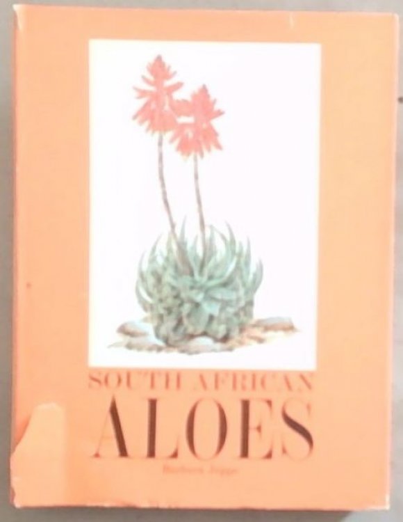 South African Aloes