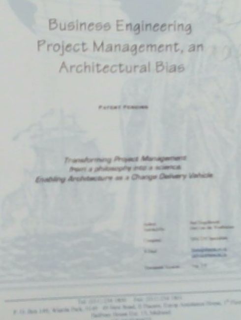 Business Engineering Project Management, an Architectural Bias