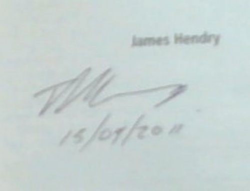 A Year in the Wild: A Riotous Novel