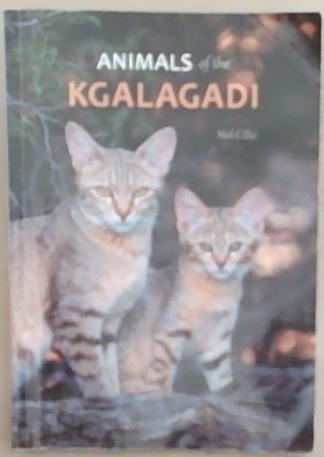 Animals of the Kgalagadi
