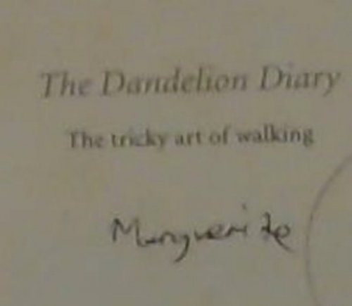 The Dandelion Diary : The Tricky Art Of Walking