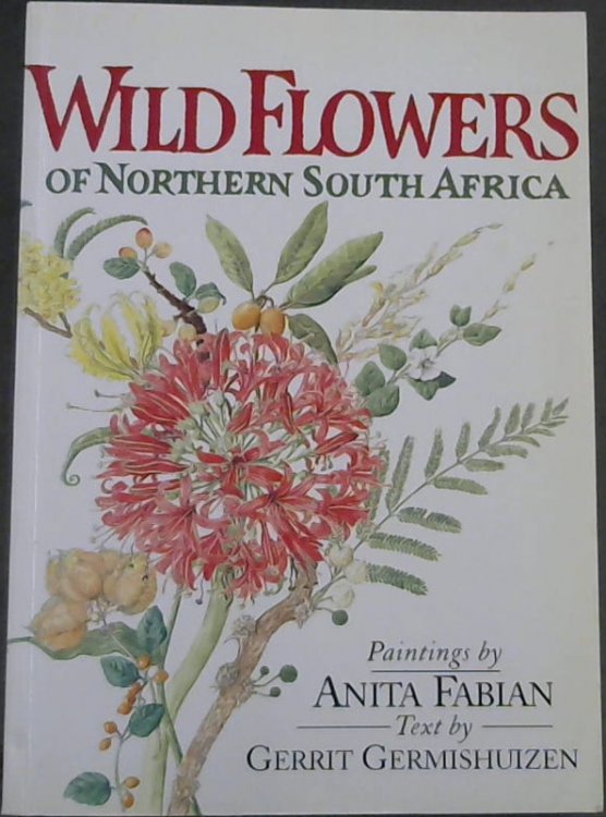 Wild Flowers of Northern South Africa