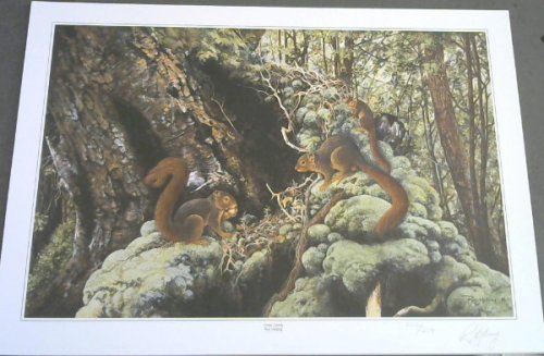 Wild Life Prints : Ray Holing : 
