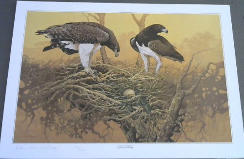 Wild Life Prints : Dr Johan van Rensburg : 