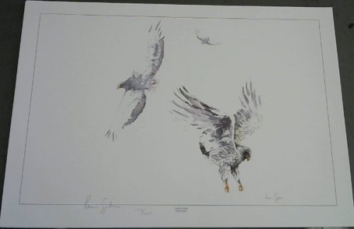 Wild Life Prints : Pam Guhrs - 