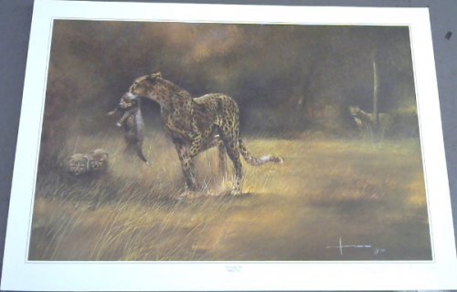 Wild Life Prints : Hennk Vos : 
