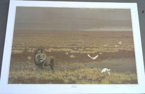 Wild Life Prints : Owen Owen : 