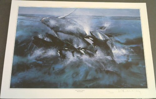 Wild Life Prints : Rob Kearney : 