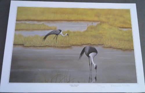 Wild Life Prints: Bronwen Mellor : 