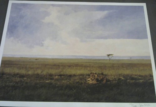 Wild Life Prints : John Meyer - Limited