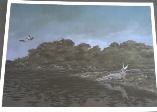 Wild Life Prints : Richard Smith - Limited