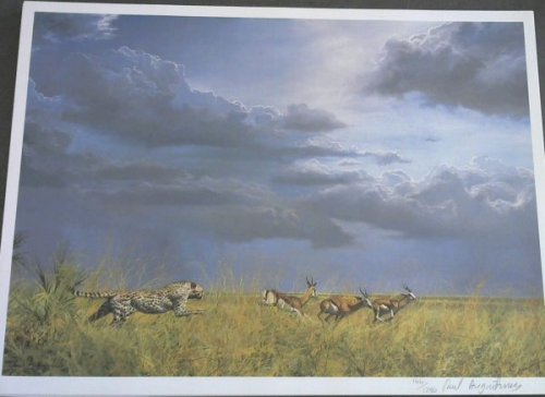 Wild Life Prints : Paull Augustinus - Limited