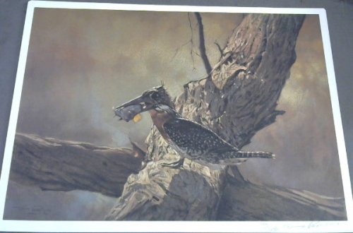 Wild Life Prints : Dino Paravano - Limited